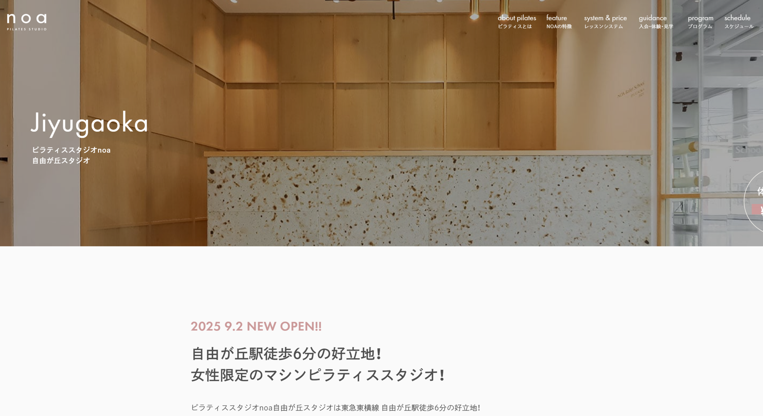 noa 公式サイトの画像