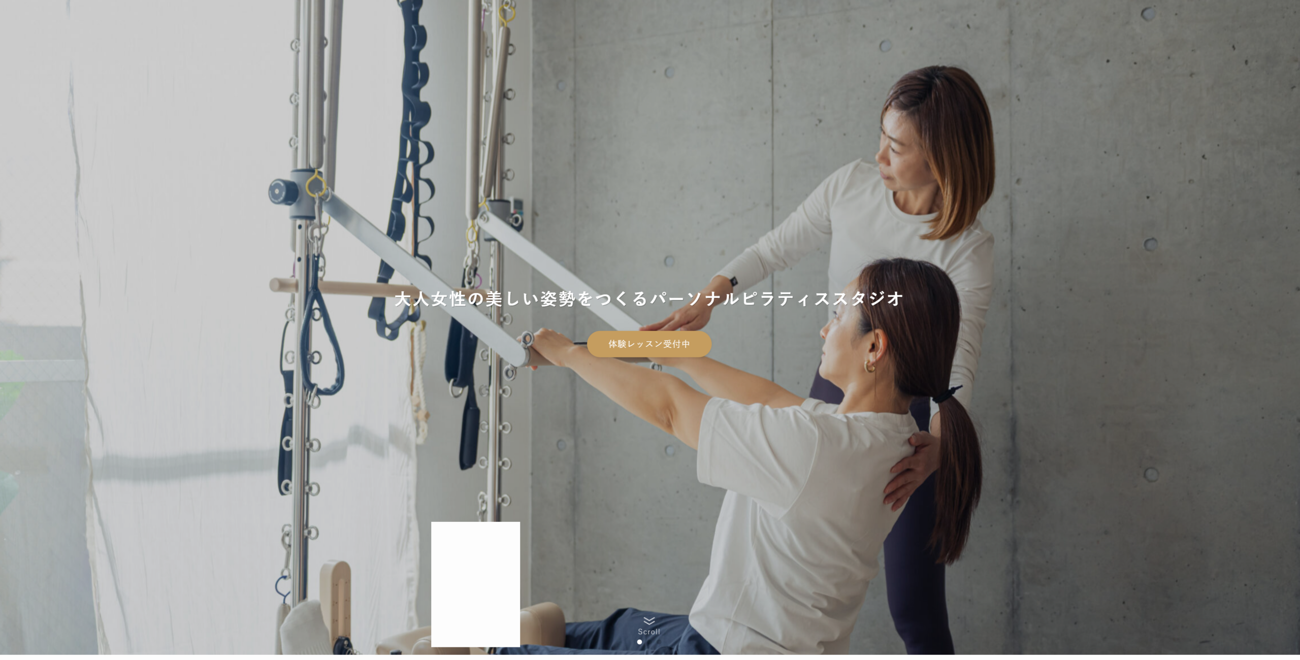 styleup公式サイトの画像